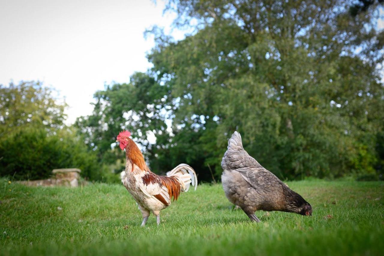 The Barn House - Swimming Pond,Jacuzzi,Chicks! Villa Battle Buitenkant foto